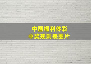 中国福利体彩中奖规则表图片