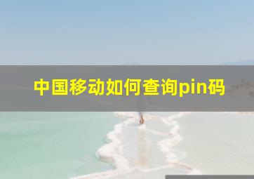 中国移动如何查询pin码