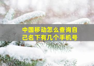 中国移动怎么查询自己名下有几个手机号