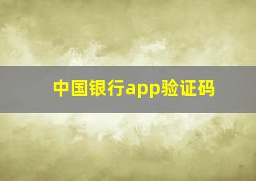 中国银行app验证码