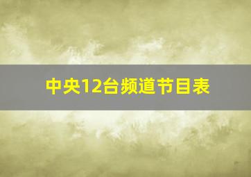 中央12台频道节目表