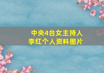 中央4台女主持人李红个人资料图片