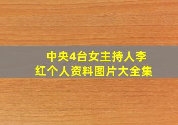 中央4台女主持人李红个人资料图片大全集