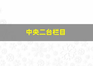 中央二台栏目