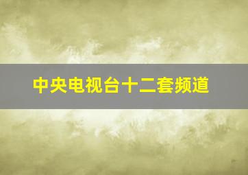 中央电视台十二套频道