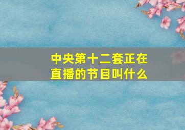 中央第十二套正在直播的节目叫什么