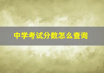 中学考试分数怎么查询