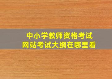 中小学教师资格考试网站考试大纲在哪里看