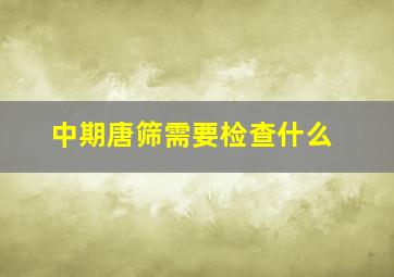 中期唐筛需要检查什么