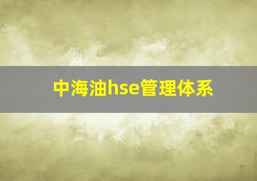 中海油hse管理体系