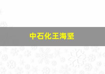 中石化王海坚