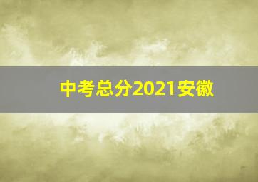 中考总分2021安徽