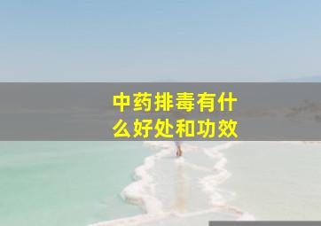 中药排毒有什么好处和功效