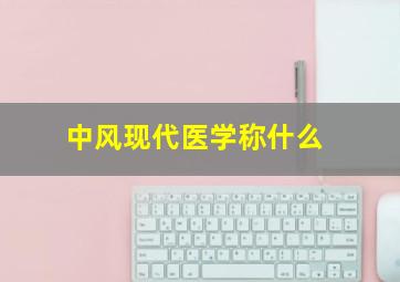 中风现代医学称什么