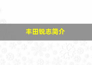 丰田锐志简介