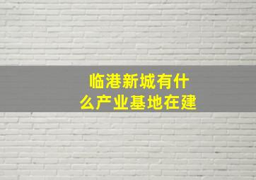 临港新城有什么产业基地在建