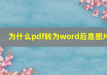 为什么pdf转为word后是图片