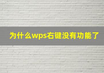 为什么wps右键没有功能了