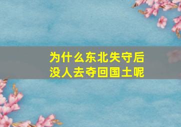 为什么东北失守后没人去夺回国土呢