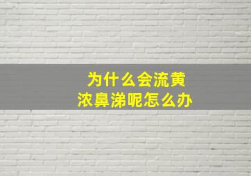 为什么会流黄浓鼻涕呢怎么办