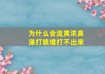 为什么会流黄浓鼻涕打喷嚏打不出来