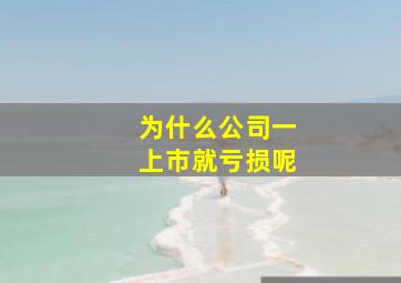 为什么公司一上市就亏损呢