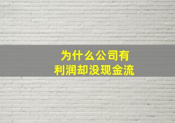 为什么公司有利润却没现金流