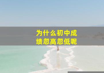 为什么初中成绩忽高忽低呢