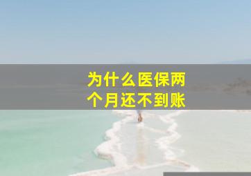 为什么医保两个月还不到账