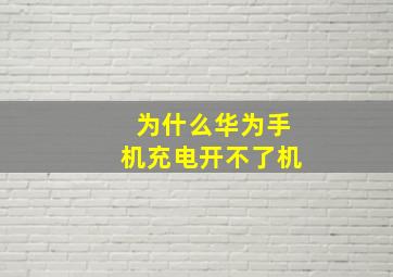 为什么华为手机充电开不了机