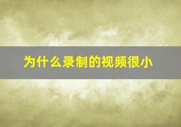 为什么录制的视频很小