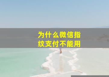 为什么微信指纹支付不能用