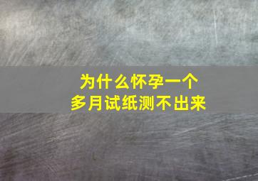 为什么怀孕一个多月试纸测不出来