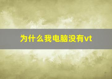 为什么我电脑没有vt