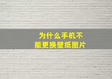 为什么手机不能更换壁纸图片