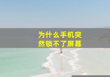 为什么手机突然锁不了屏幕