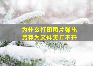 为什么打印图片弹出另存为文件夹打不开