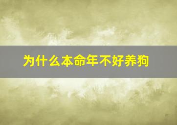 为什么本命年不好养狗