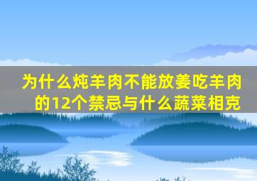 为什么炖羊肉不能放姜吃羊肉的12个禁忌与什么蔬菜相克