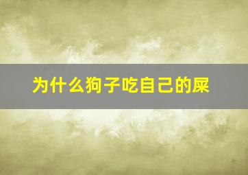 为什么狗子吃自己的屎