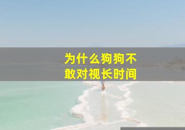 为什么狗狗不敢对视长时间