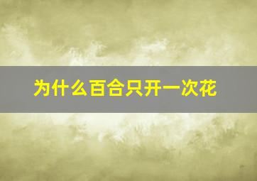 为什么百合只开一次花