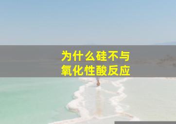 为什么硅不与氧化性酸反应