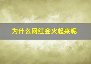 为什么网红会火起来呢