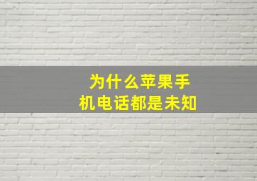 为什么苹果手机电话都是未知