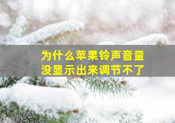 为什么苹果铃声音量没显示出来调节不了