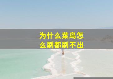 为什么菜鸟怎么刷都刷不出