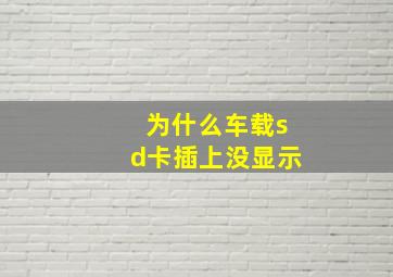 为什么车载sd卡插上没显示