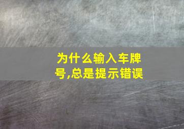 为什么输入车牌号,总是提示错误