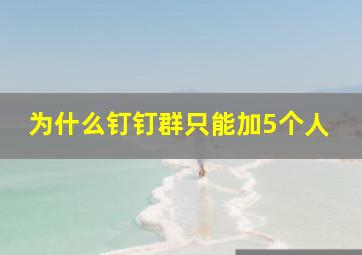 为什么钉钉群只能加5个人